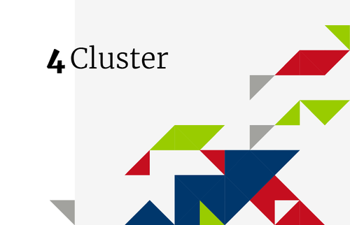 Exzellenzcluster