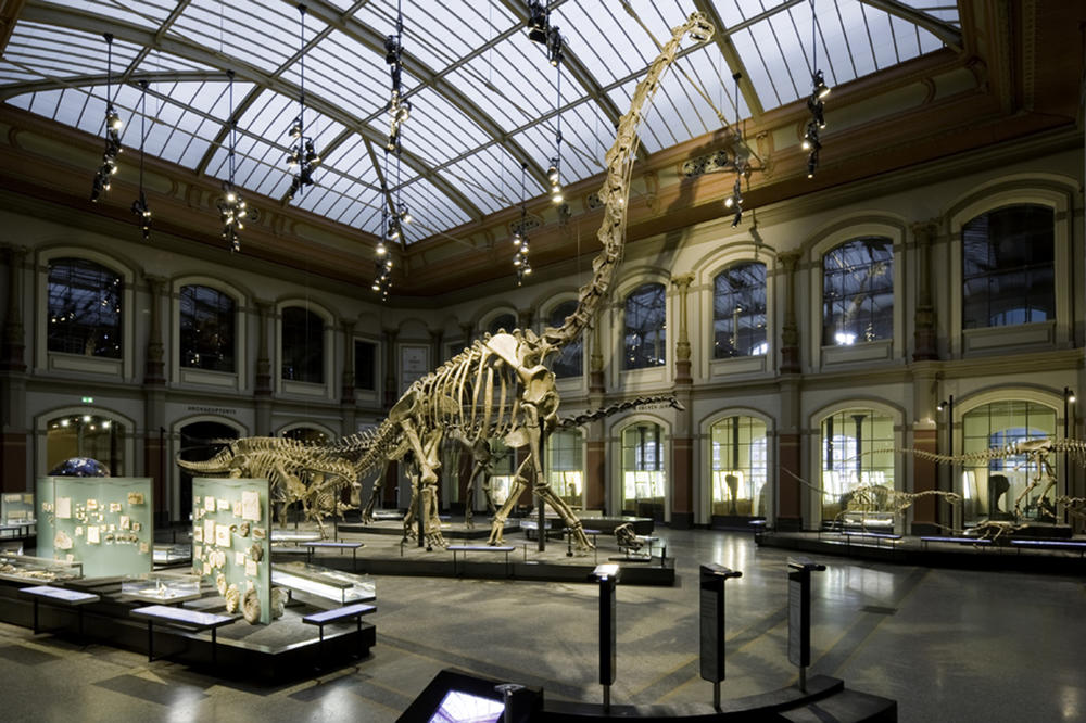 Das Museum für Naturkunde zählt als Leibniz-Institut zu den außeruniversitären Kooperationspartnern.