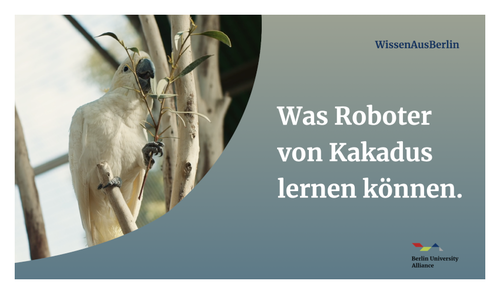 Video auf WissenAusBerlin