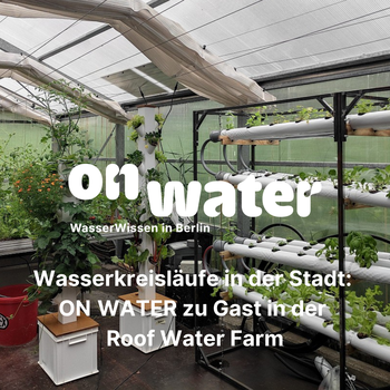 On Water kommt in die Roof Water-Farm
