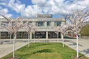 New construction: 14 smaller disciplines from the Department of History and Cultural Studies at Freie Universität were combined under a single roof in the spring of 2015, in the “Holzlaube” building.