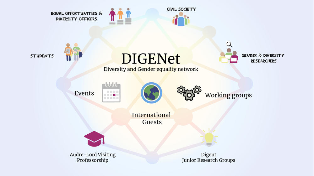 DIGINet Partners and target groups