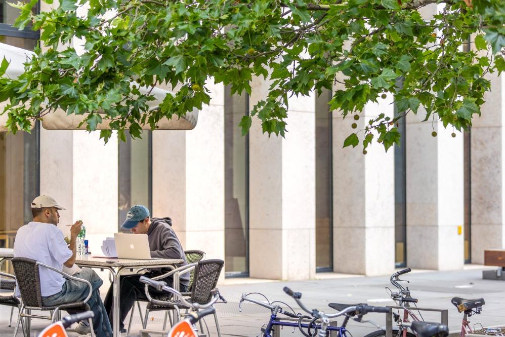 A Doctorate in Berlin