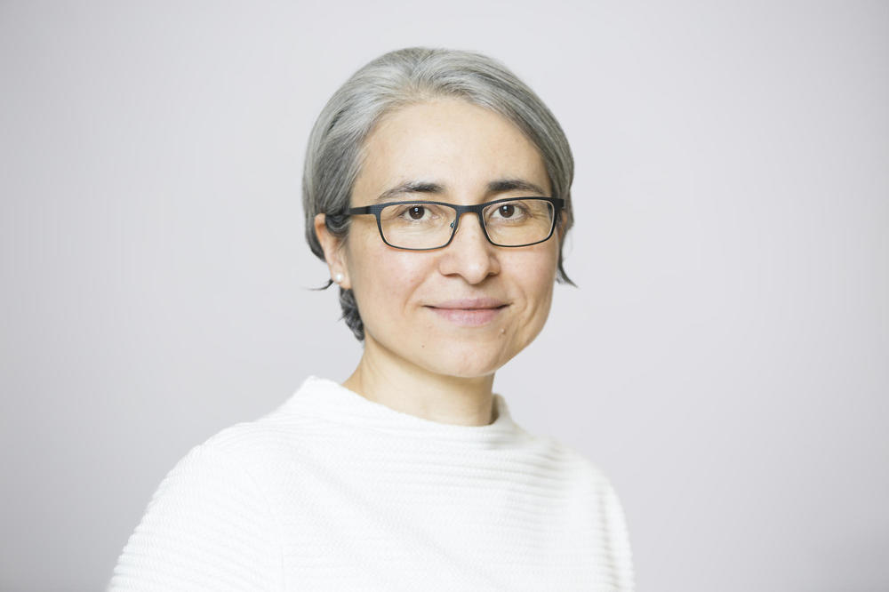 Çiğdem İşsever became the first academic director of the partnership for the BUA.