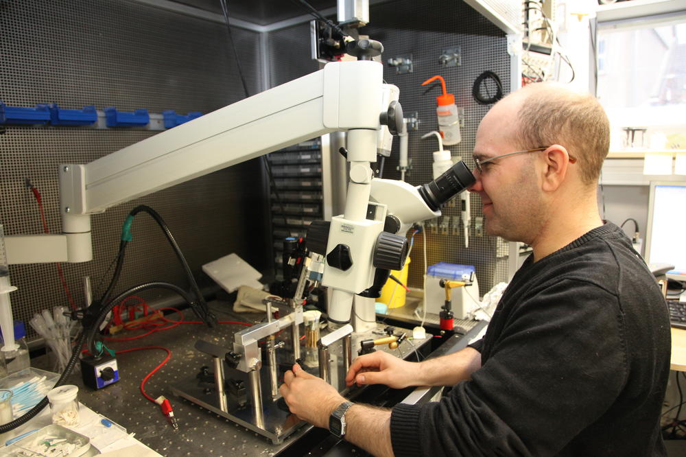 A look into the microscope in the Bernstein Center for Neuroscience.