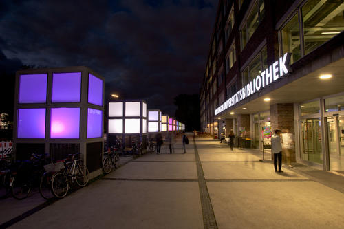 At Night in the University Library