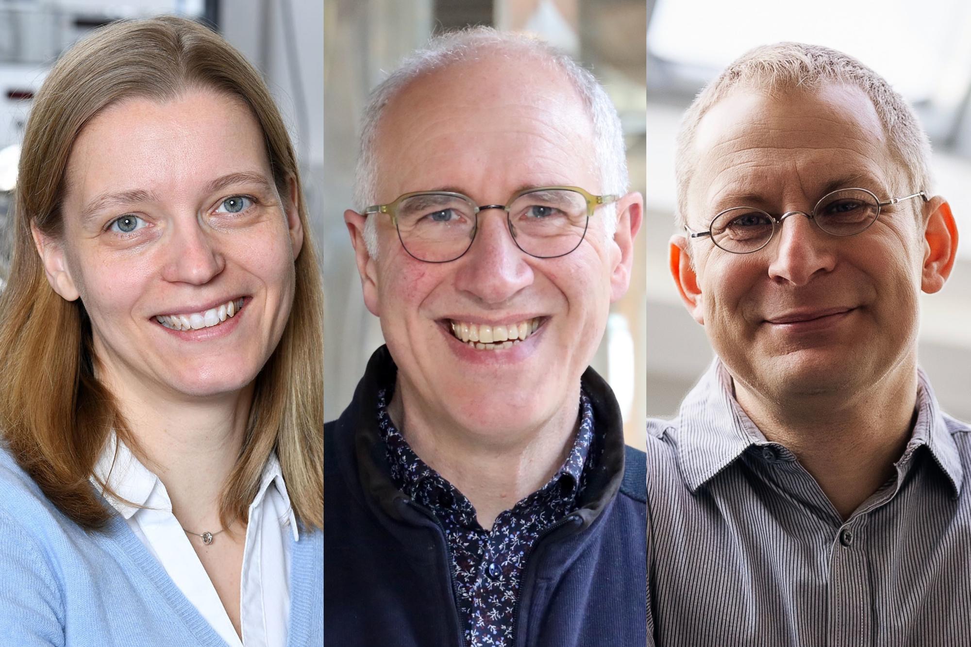 Left to right: Katharina Franke (Freie Universität Berlin), Christoph Strunk (Universität Regensburg) and Georg Woltersdorf (Martin-Luther-Universität Halle-Wittenberg)