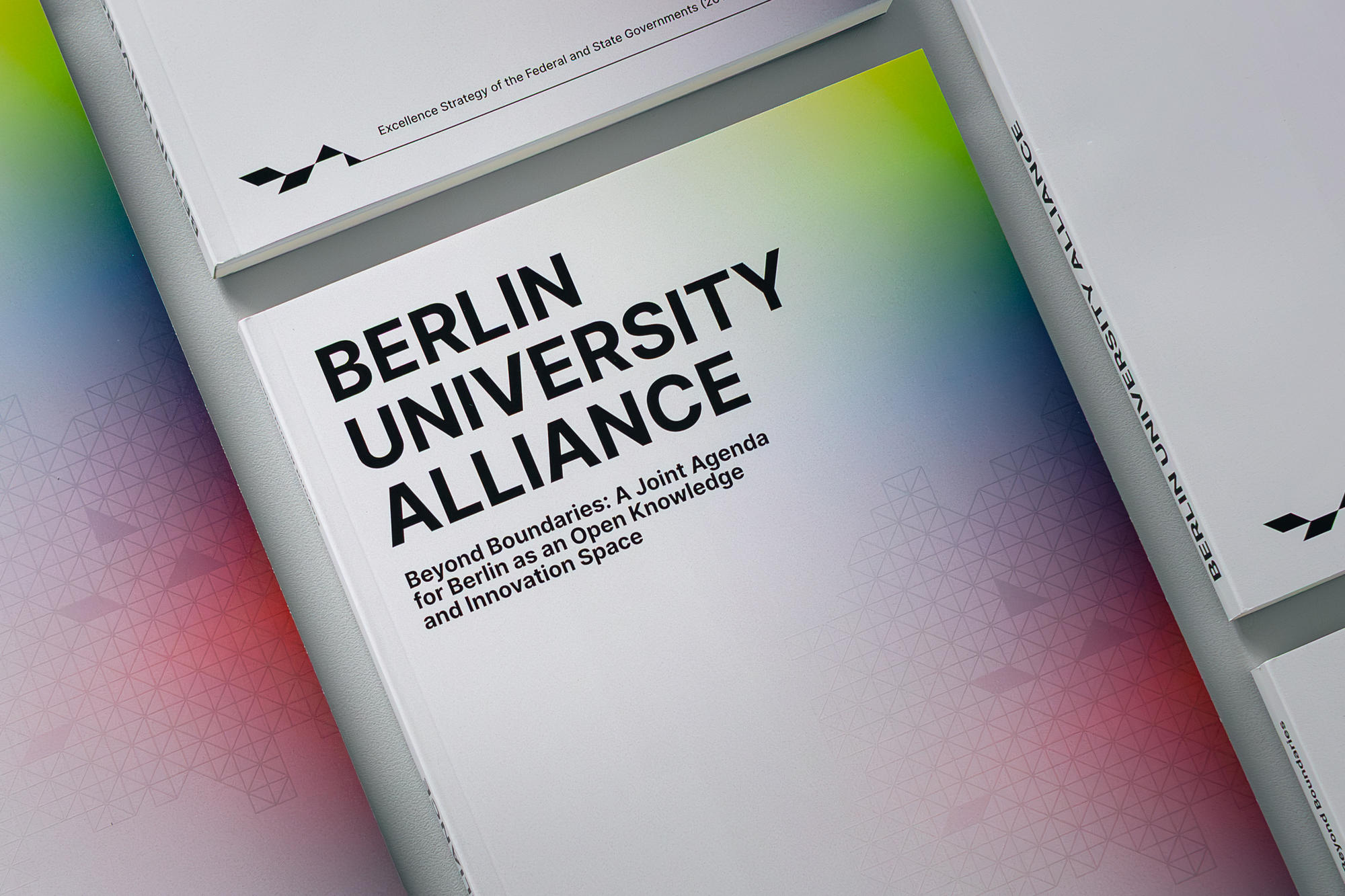 BUA Self-Assessment Report