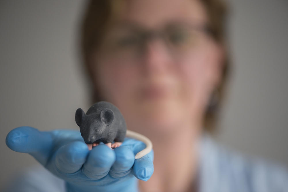 Modeling the mouse: Partners to the BB3R research platform seek alternatives to animal testing.