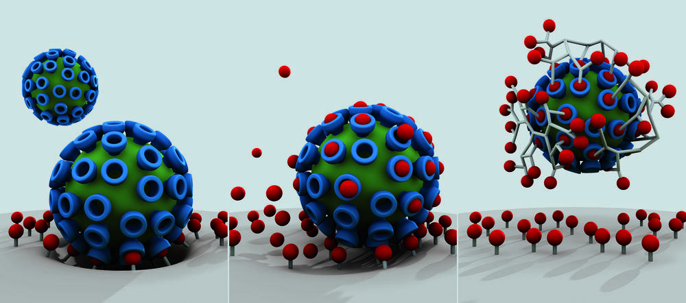 The virus-cell bond as first step in viral infection (r.), with the traditional active substance providing some defense (middle). In contrast, multivalent active substances (r.) effectively screen viruses and block the infection.