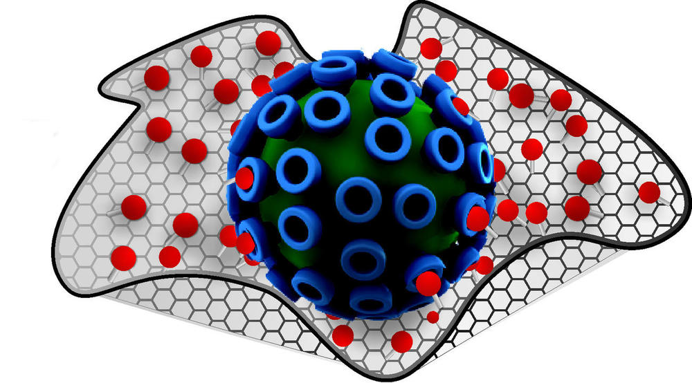 Carbon lattices enfold the germs like tin foil wrapped round a meatball.
