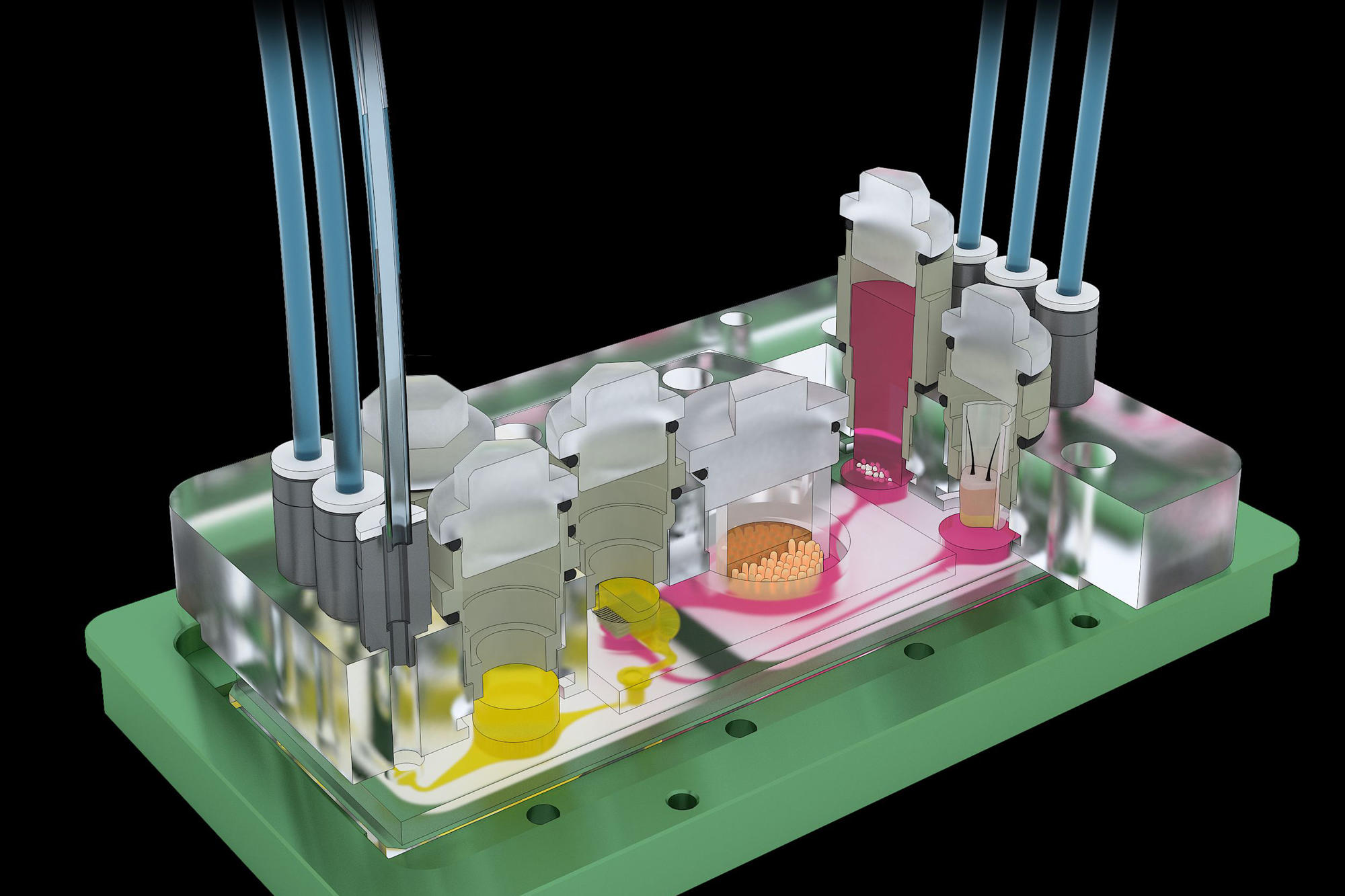Cross-sectional model representation of the organ-on-a-chip technology.