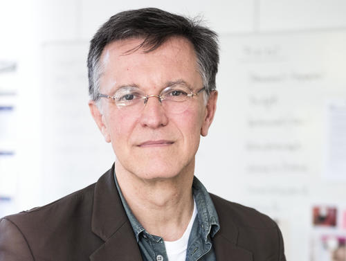 Prof. Dr. phil. Wolfgang Schäffner is the spokesperson for the “Matters of Activity” cluster.