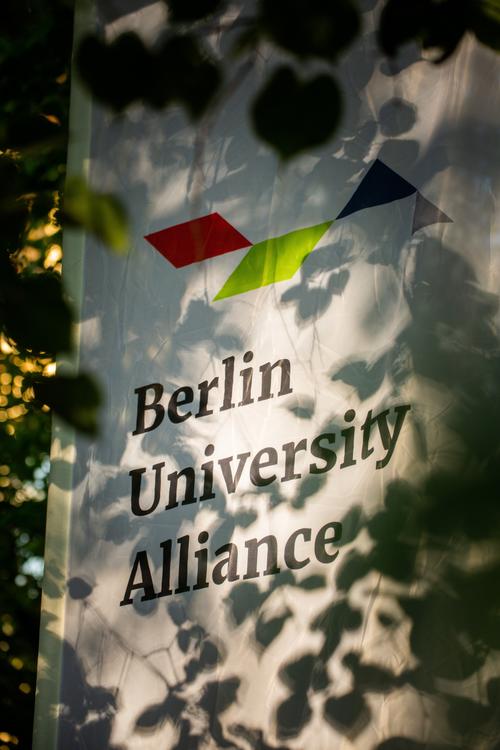 Berlin University Alliance (Logo) portrait format