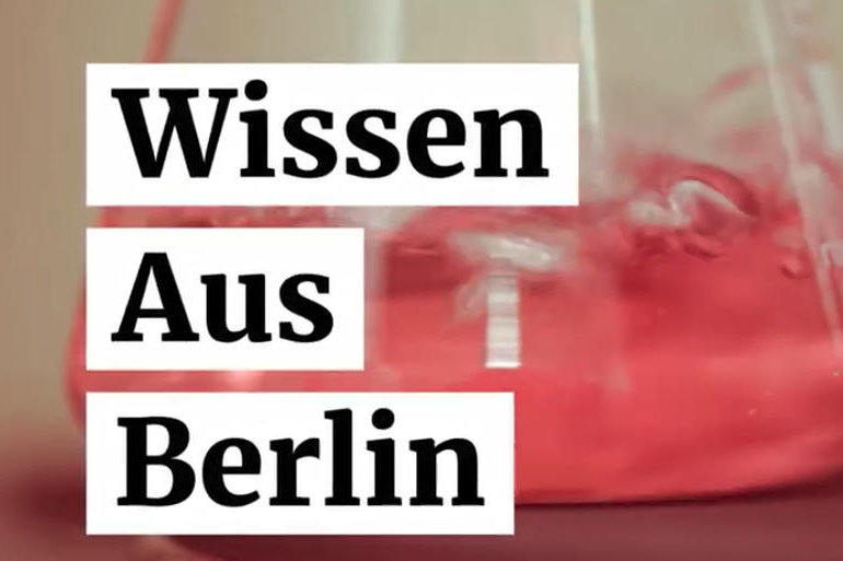 Wissen aus Berlin (Knowledge from Berlin)