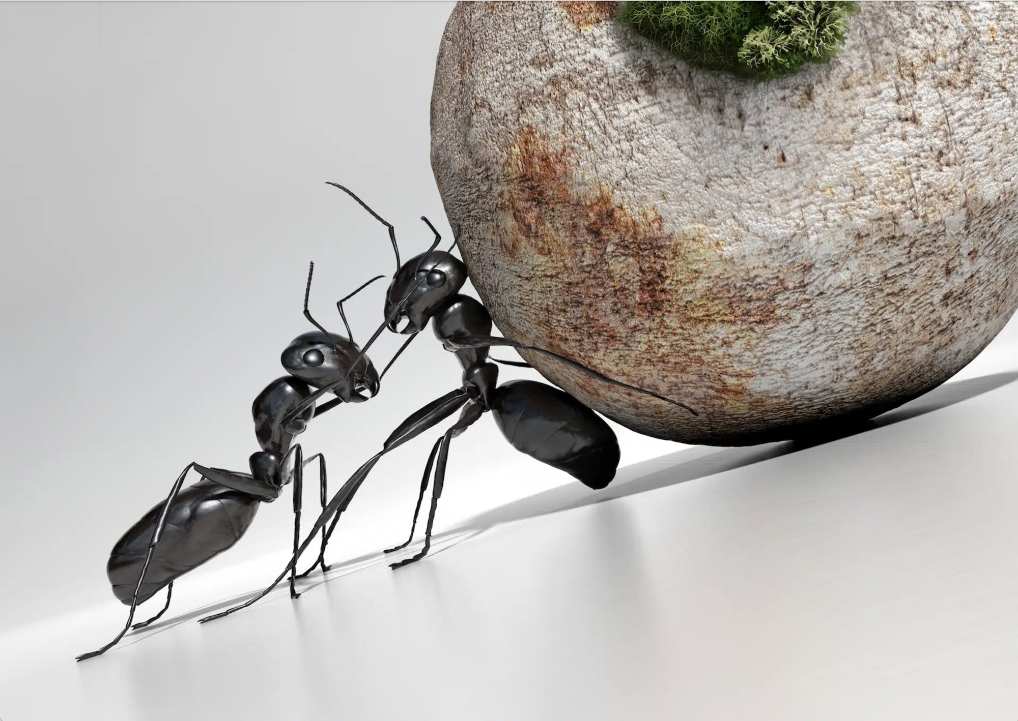 Grand Challenges Konferenz