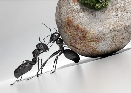 Grand Challenges Konferenz