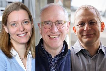 V.l.n.r.: Prof. Dr. Katharina Franke (Freie Universität Berlin), Prof. Dr. Christoph Strunk (Universität Regensburg) und Prof. Dr. Georg Woltersdorf (Martin-Luther-Universität Halle-Wittenberg)