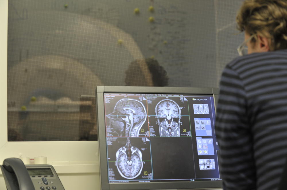 Wie funktionieren neuronale Netzwerke im Gehirn? Bildgebende Verfahren sind nur eine Möglichkeit, das herauszufinden.