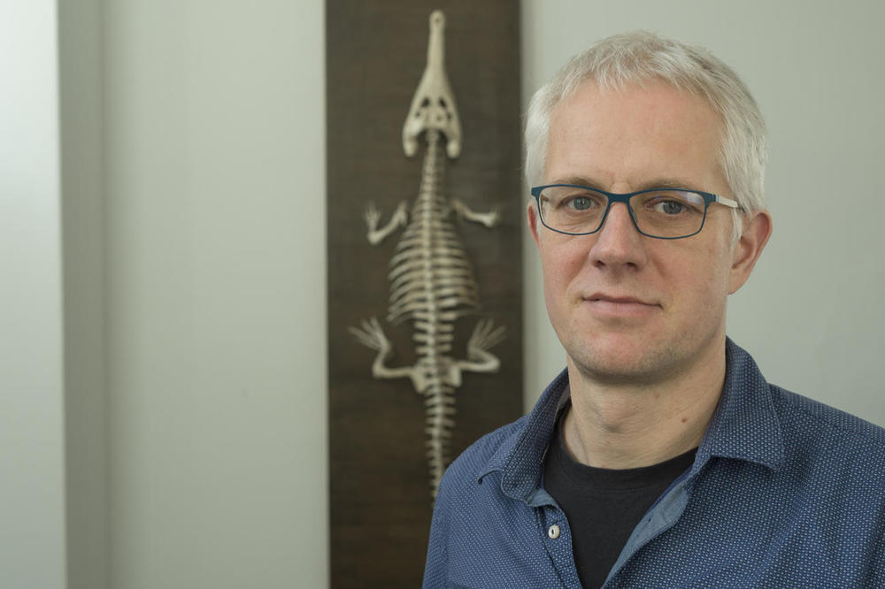 Der Evolutionsbiologe Jens Rolff erforscht das komplexe Immunsystem von Insekten.