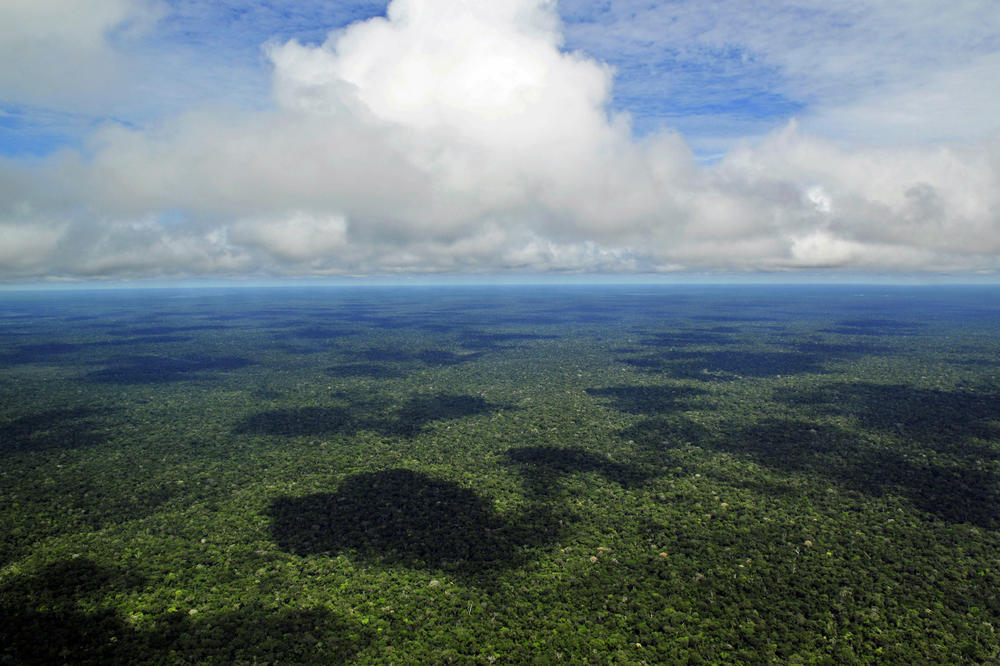Als „grüne Lunge“ der Erde nimmt der brasilianische Regenwald durch Photosynthese große Mengen klimaschädliches Kohlendioxid auf.