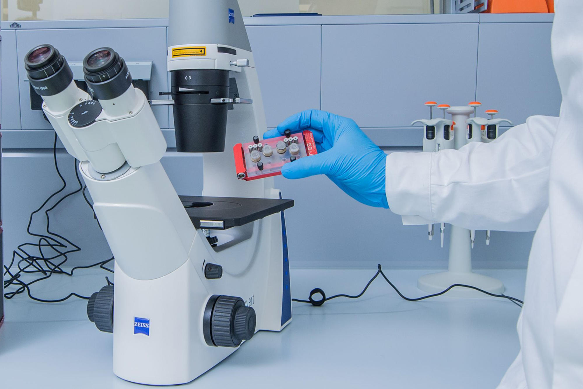 Bei der „Organ-on-a-chip“-Technologie werden die Physiologie und Mechanik von Organen, Organsystemen oder Geweben im Mikromaßstab auf Chips von der Größe einer Spielkarte simuliert.