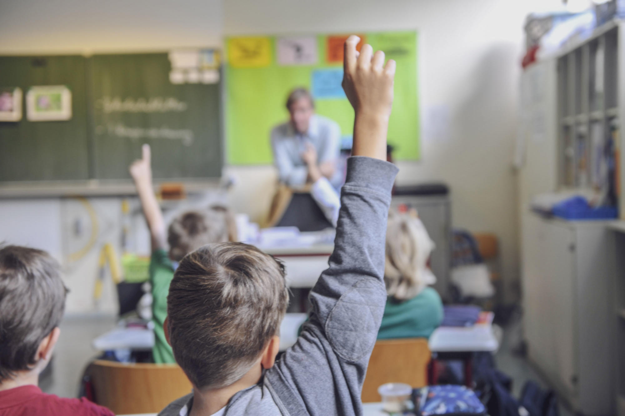 Wie Gletscher die norddeutsche Landschaft prägten, welcher Nährstoff im Magen verdaut wird oder wie physikalische Kräfte wirken – an einem einzigen Schultag manövrieren Schülerinnen und Schüler durch ganz unterschiedliche Fachgebiete.