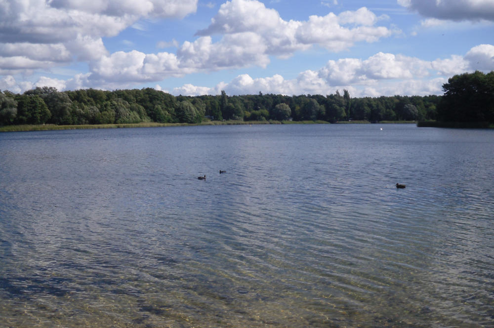 Der nur von Grundwasser gespeiste Groß Glienicker See, genau auf der Grenze von Berlin und Brandenburg, mit seinen seit Jahren fallenden Wasserständen wird eines der Fallbeispiele für das exemplarische Forschungsdesign von CliWaC sein.