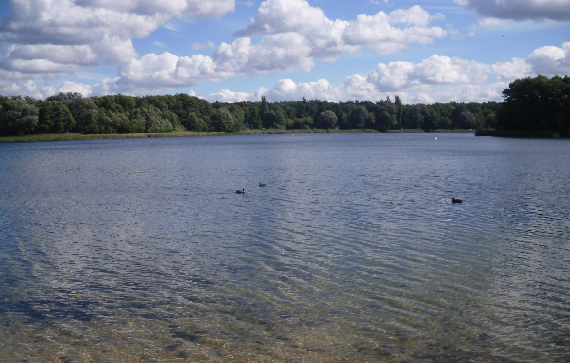Der nur von Grundwasser gespeiste Groß Glienicker See, genau auf der Grenze von Berlin und Brandenburg, mit seinen seit Jahren fallenden Wasserständen wird eines der Fallbeispiele für das exemplarische Forschungsdesign von CliWaC sein.