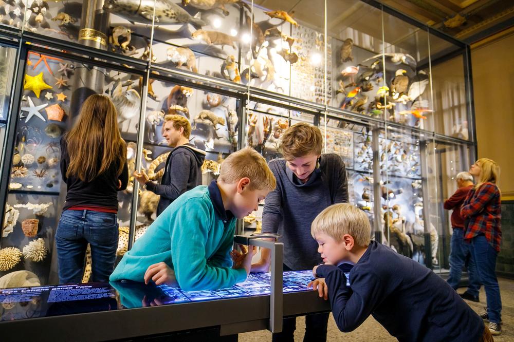 Das Projekt „Museums and Society – Mapping the social“ analysiert die Beziehung zwischen Museum und Gesellschaft.