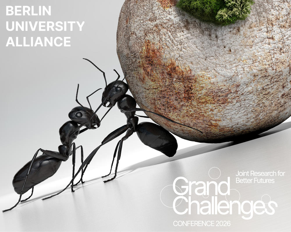 Flyer zur Konferenz | Credit: BUA