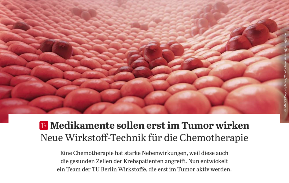 Tagesspiegel-Serie Berlins Exzellenzcluster