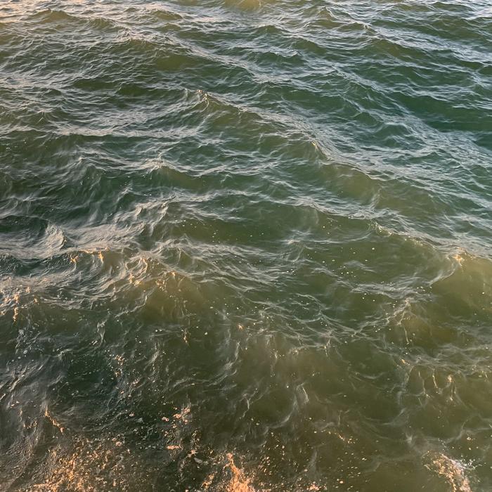 Wasser