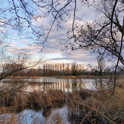 Tonsee / Credit: Christopher Winkler