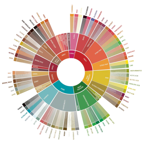 Das "Flavour Wheel" wurde eingeführt, um sensorische Merkmale zu identifizieren und zu quantifizieren, Aromen zu beschreiben, Proben zu vergleichen und Präferenzen festzulegen. | Credit: Specialty Coffee Association of America