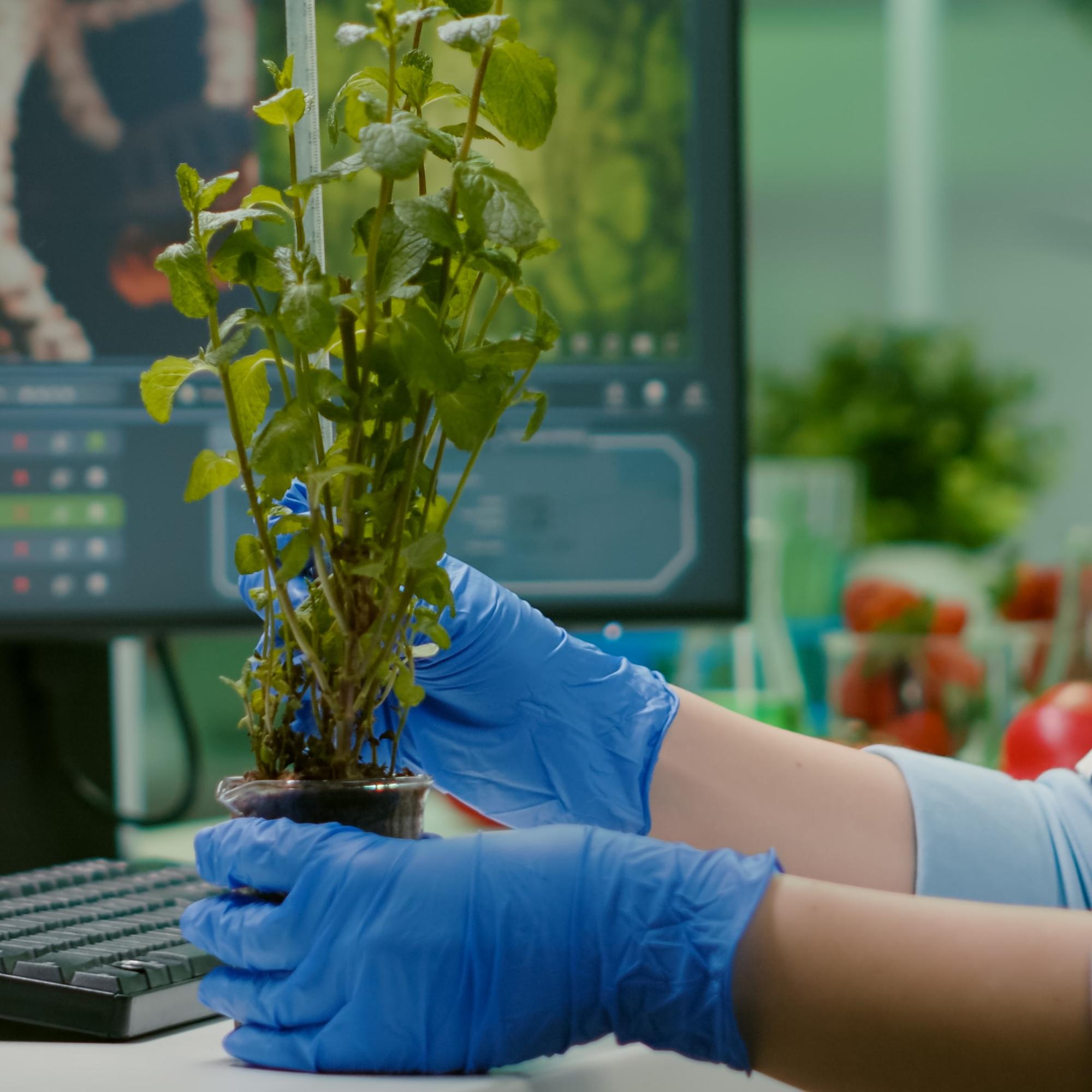 Die Grand Challenge "Responsible Innovation in Times of Transformation“ der Berlin University Alliance bündelt Forschung zu innovativen Verfahren und Praktiken, sowohl auf technischer als auch auf sozialer Ebene