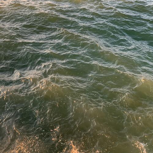 Die Grand Challenge „Klima und Wasser im Wandel“ der Berlin University Alliance bündelt interdisziplinäre Forschung, um wasserbezogene Risiken des Klimawandels zu verstehen und nachhaltige Lösungen zu entwickeln.